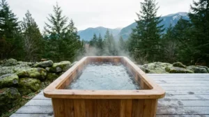 Using a Cold Plunge for Post-Workout Recovery: What It Actually Costs